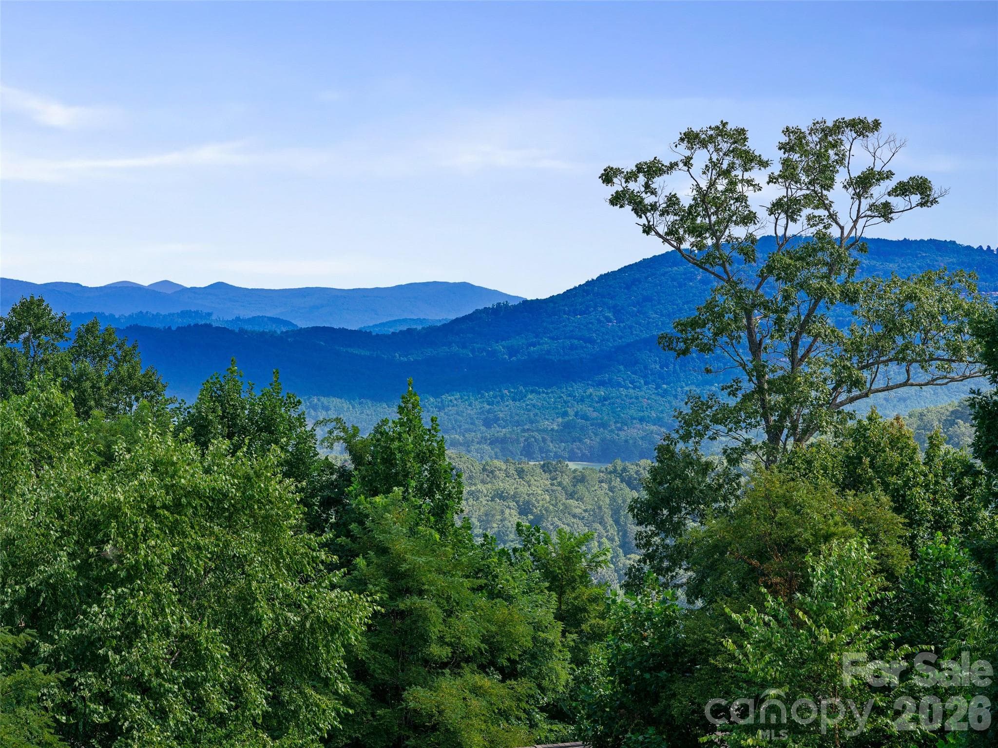 Gorgeous Views at Summit Vista at Carriage Park - 247 Coachman Drive, Hendersonville