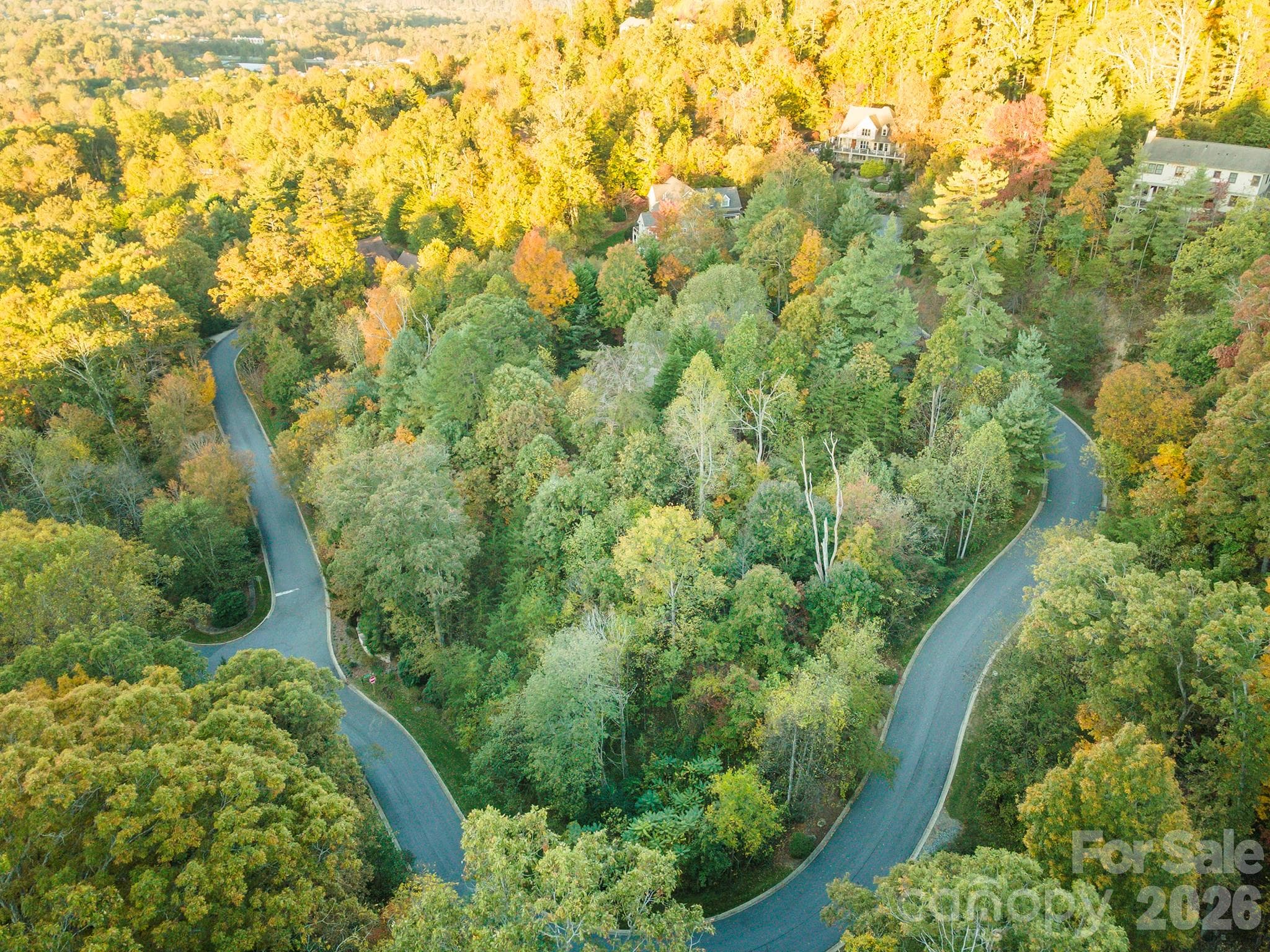Aerial showing property snugged into the gentle curve - Asheville