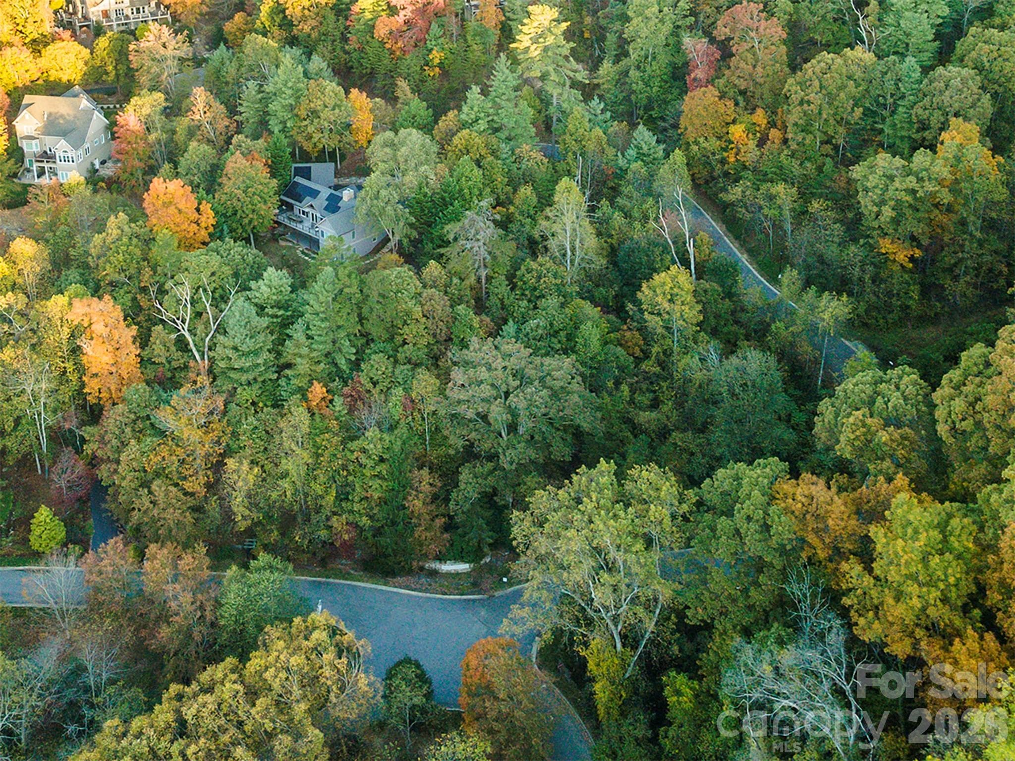 Wooded lot just inside the southern entrance - Asheville