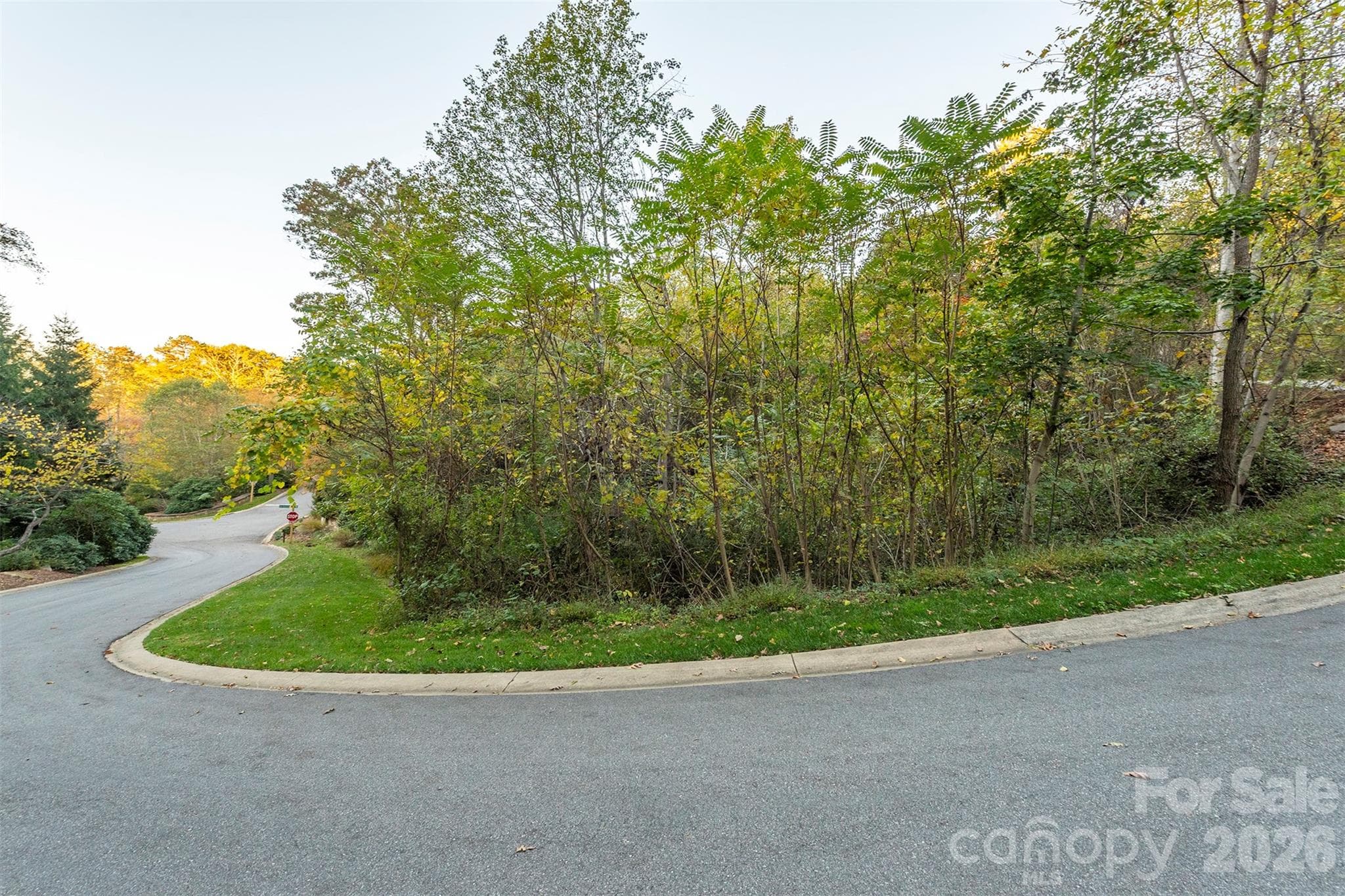 Gentle curve on Sweetspire Ridge access to property - Asheville