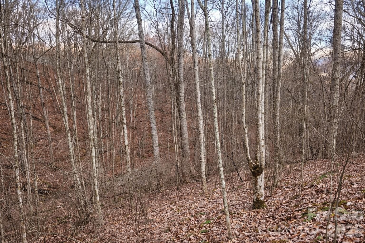 Lot at 00 Upward Way, Waynesville, photo 8 of 13