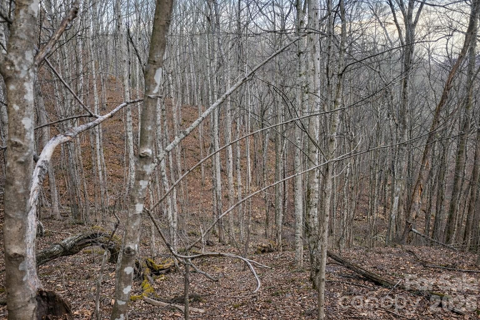Lot at 00 Upward Way, Waynesville, photo 9 of 13