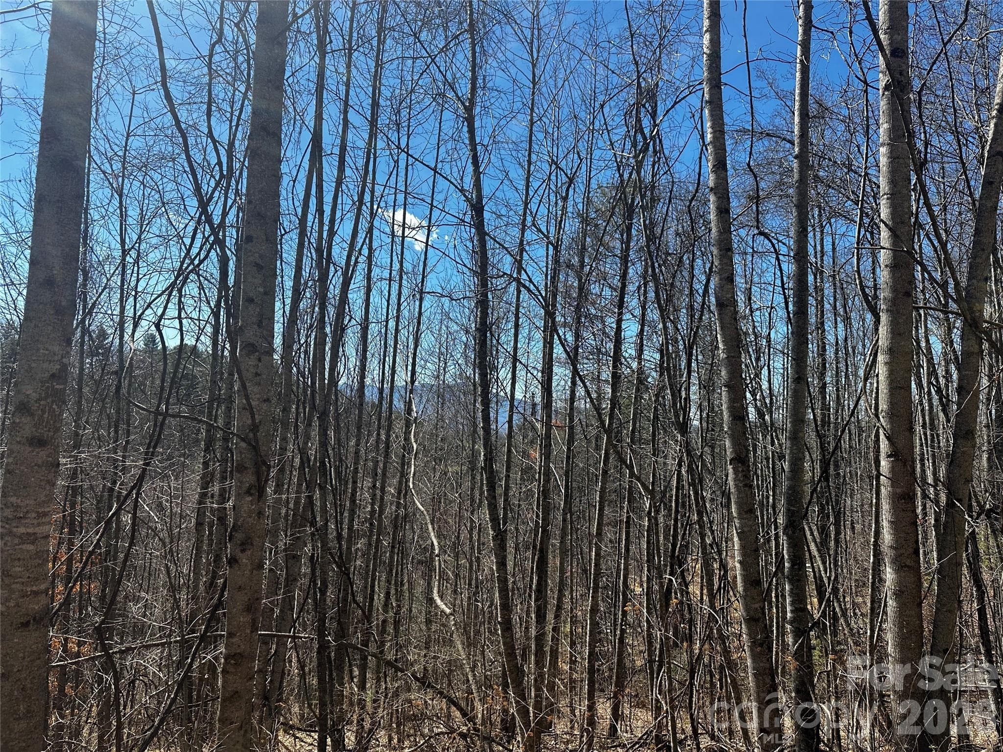 Lot at Bakersville, photo 2 of 13