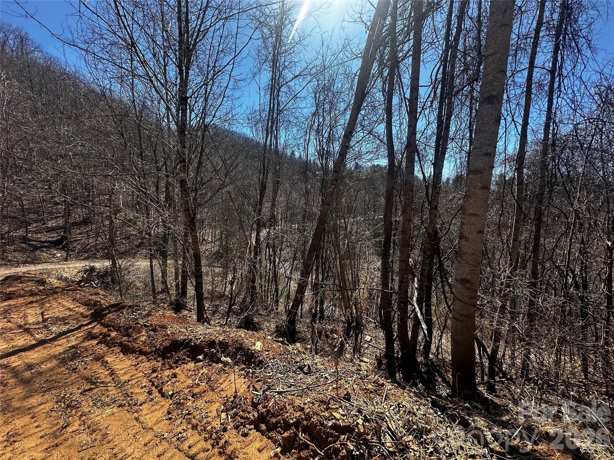 Lot at Bakersville, photo 3 of 13