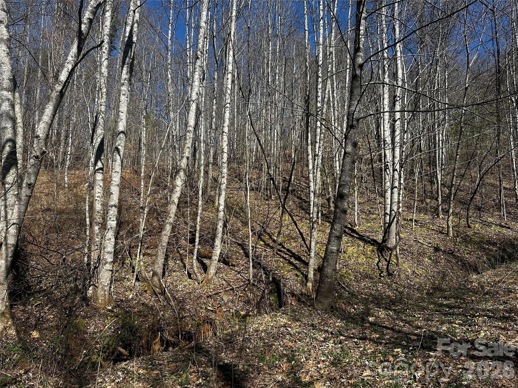 Lot at Bakersville, photo 4 of 13