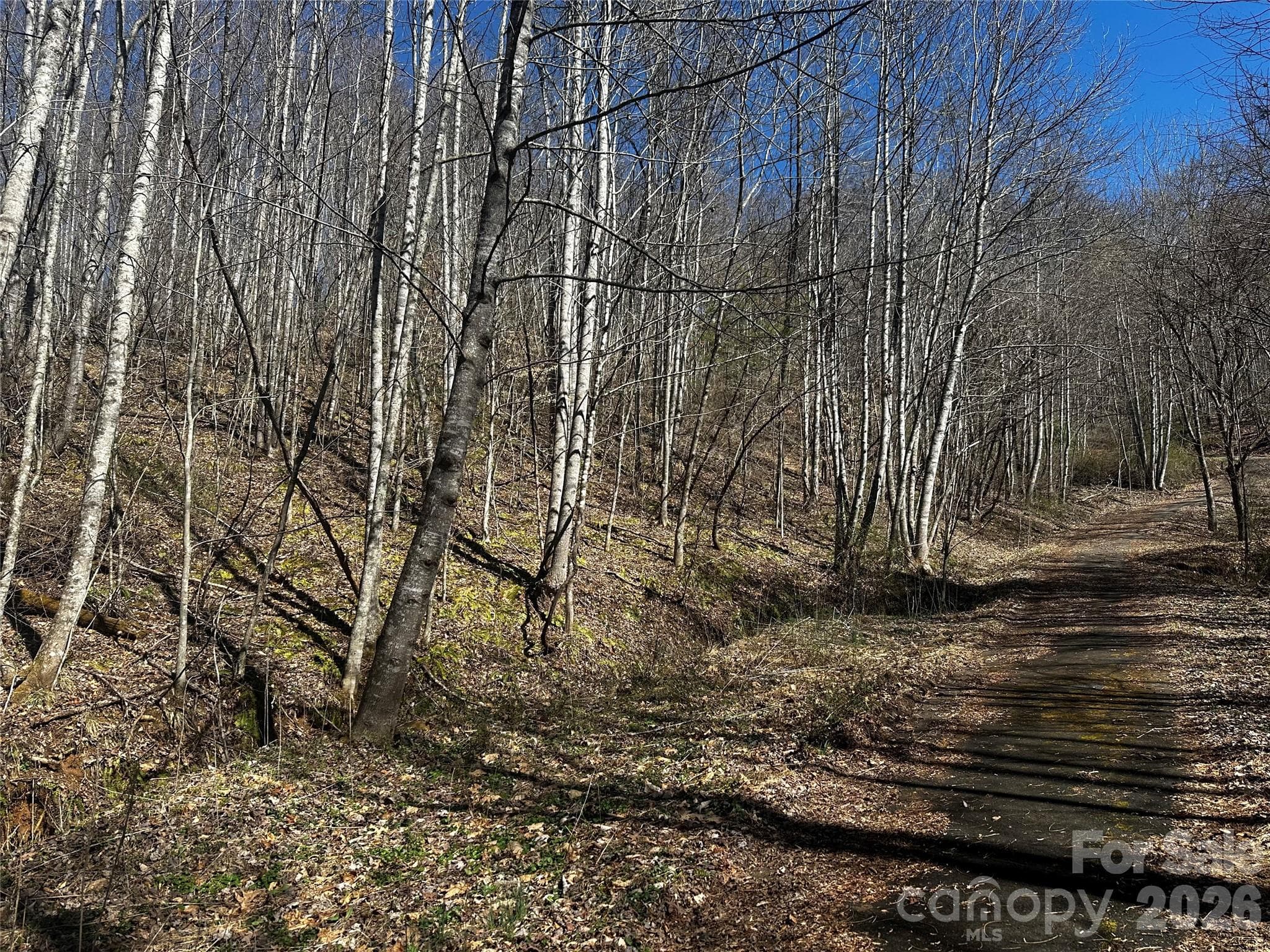 Lot at Bakersville, photo 5 of 13