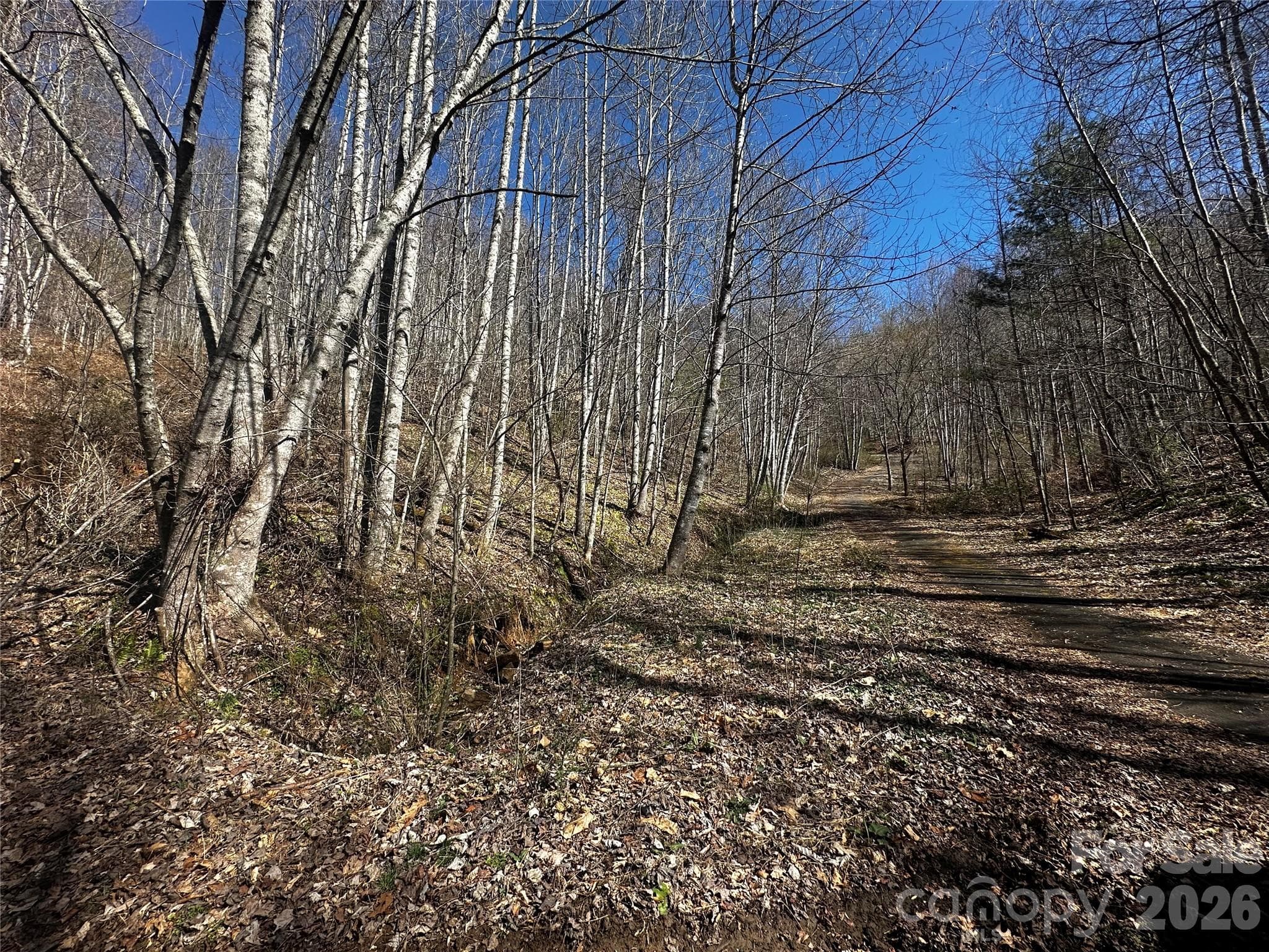 Lot at Bakersville, photo 6 of 13