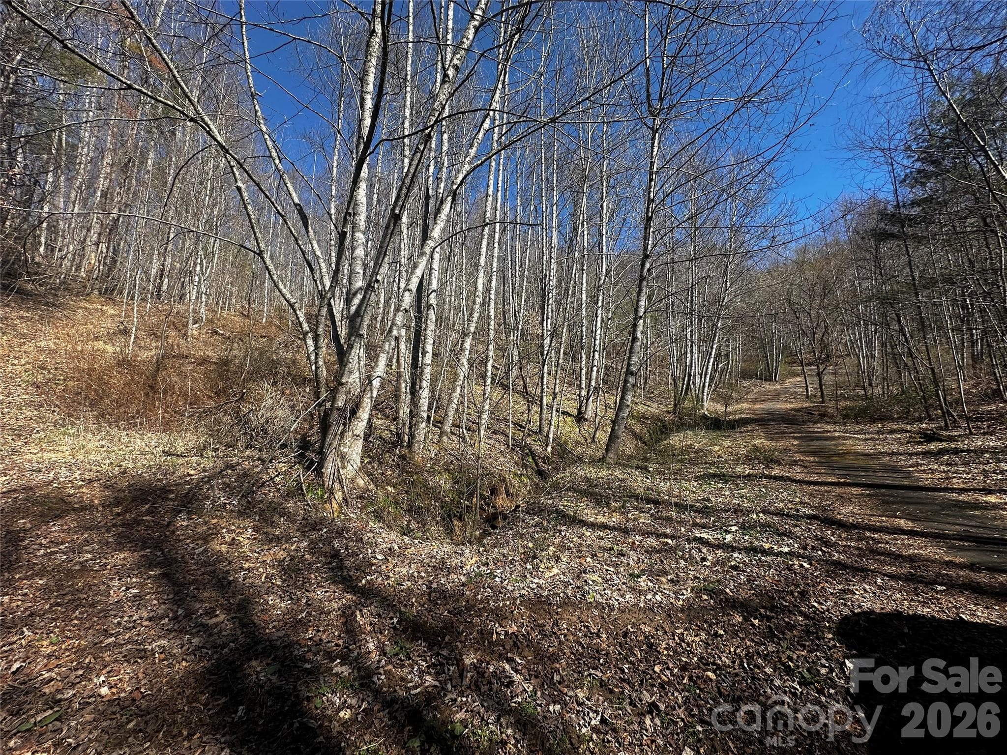 Lot at Bakersville, photo 7 of 13