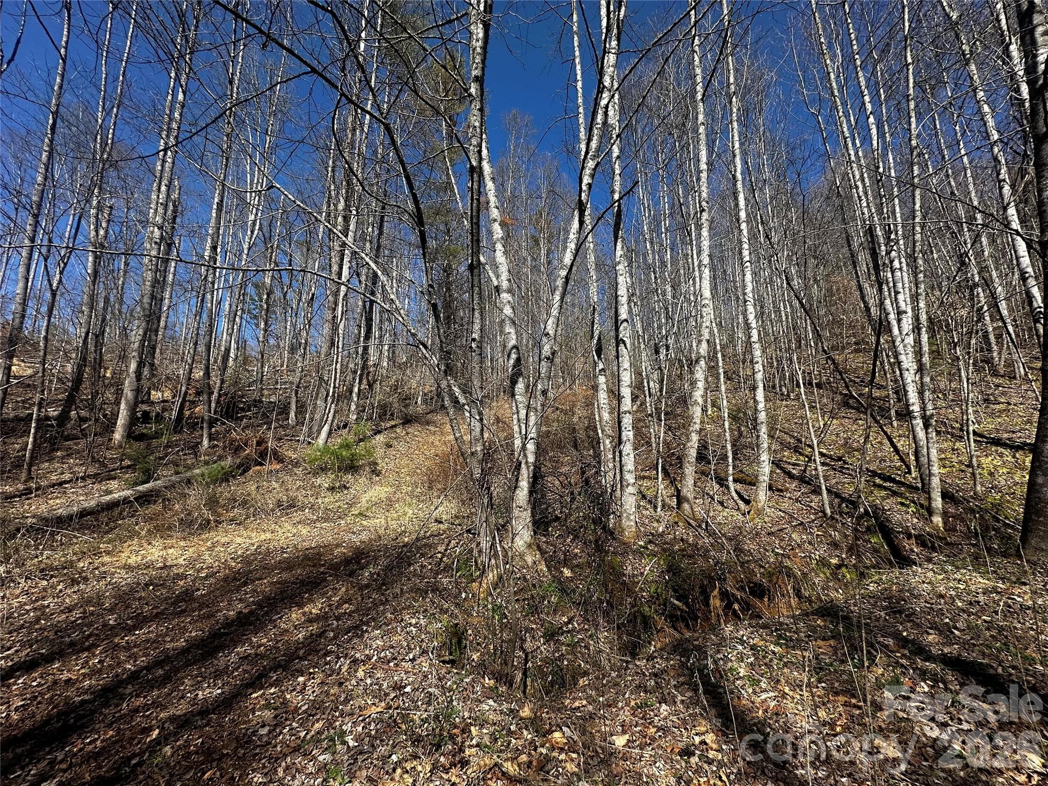 Lot at Bakersville, photo 8 of 13