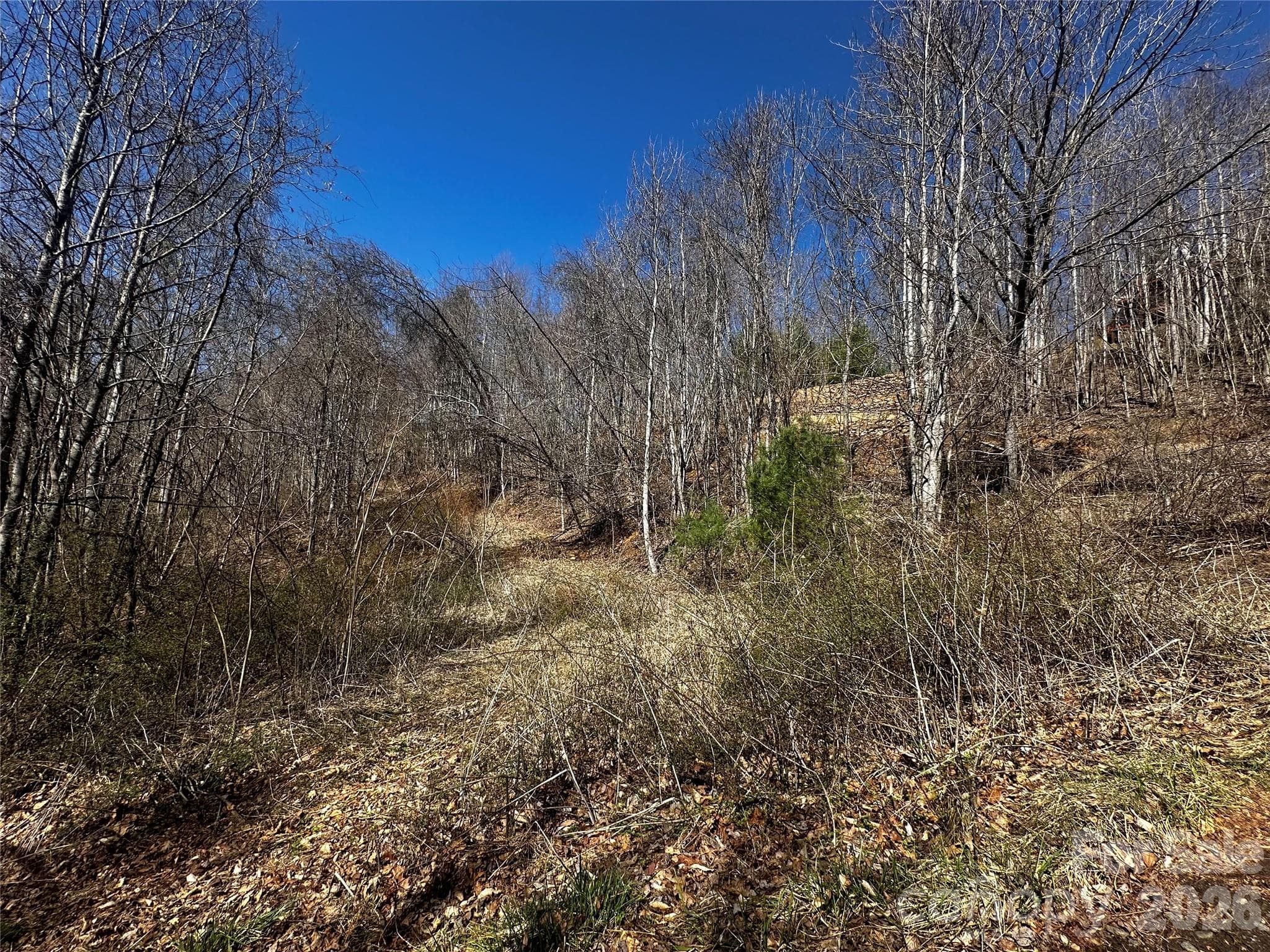 Lot at Bakersville, photo 9 of 13