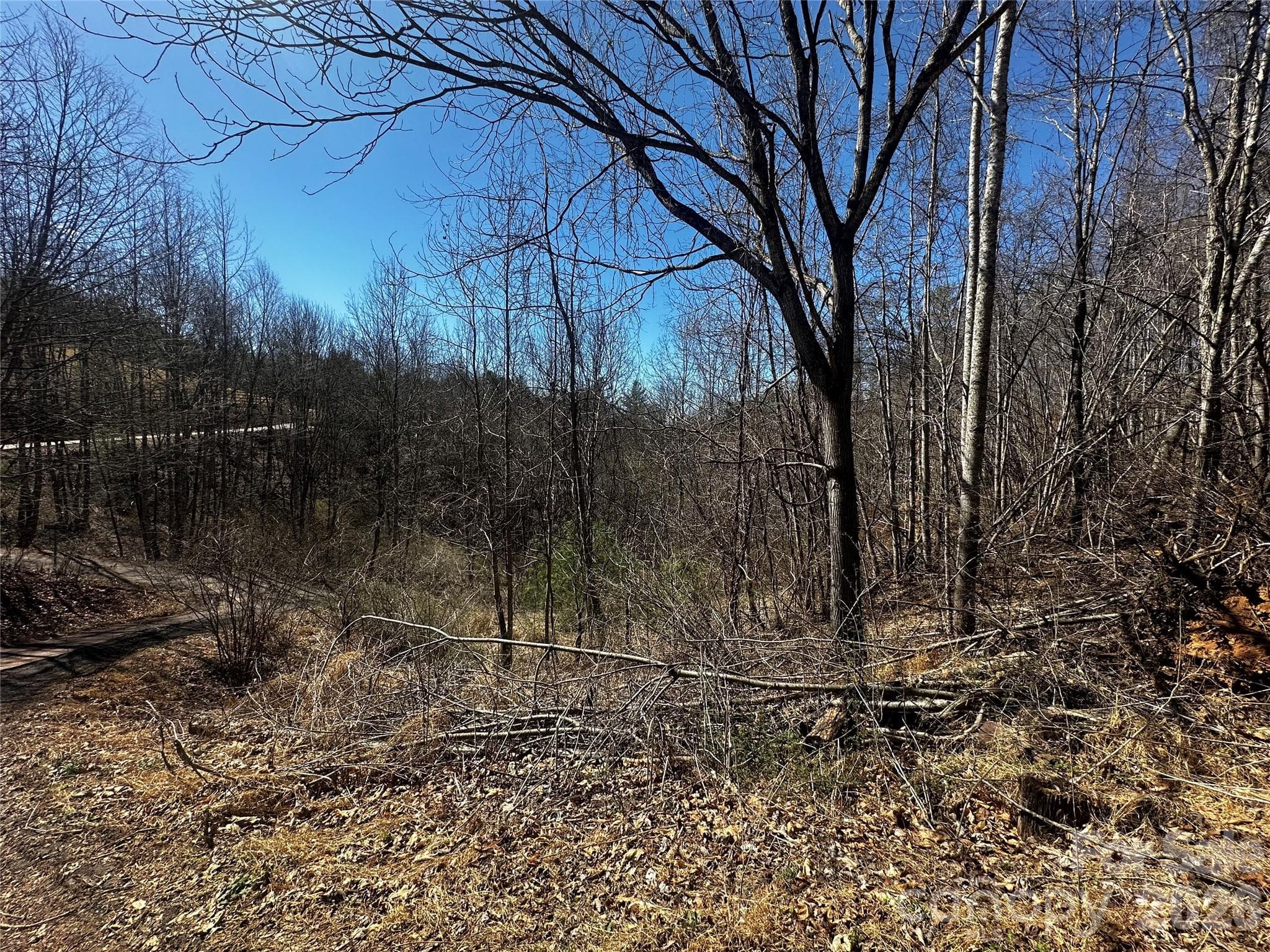 Lot at Bakersville, photo 10 of 13