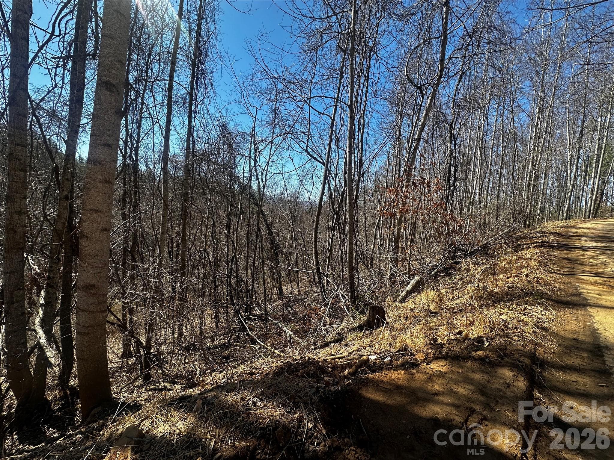Lot at Bakersville, photo 12 of 13
