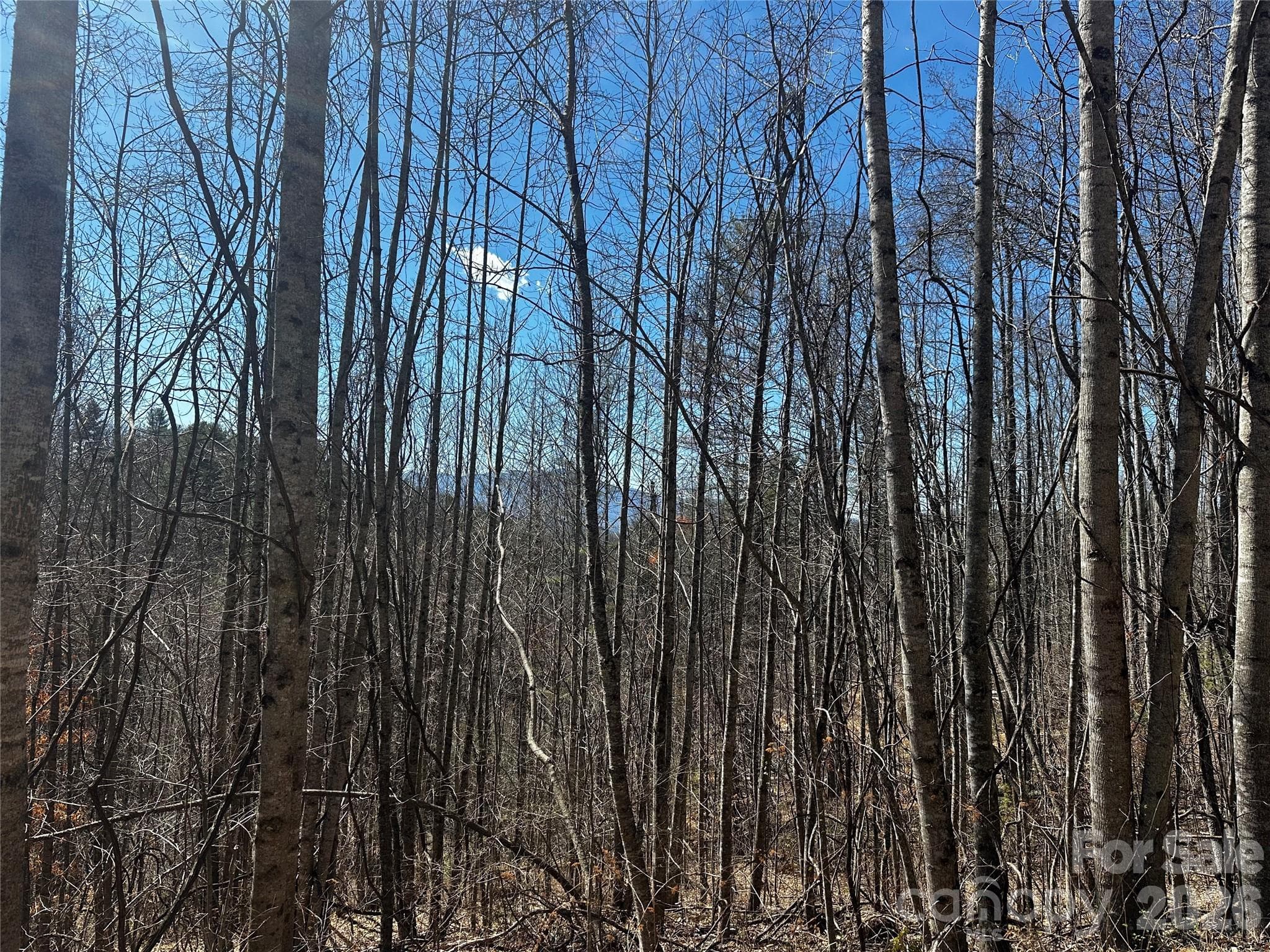 Lot at Bakersville, photo 13 of 13