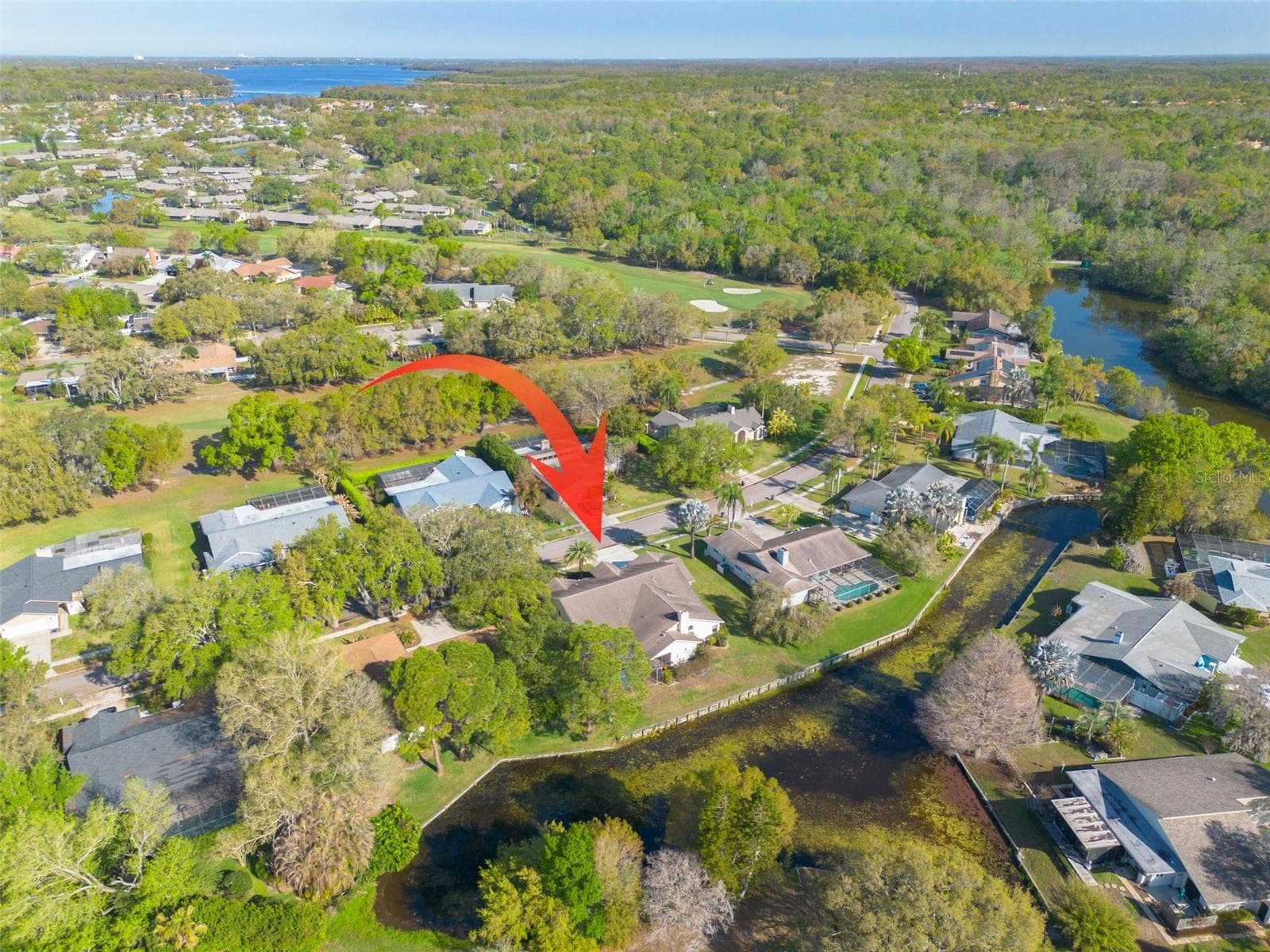 Single Family Residence at 470 HICKORYNUT AVE, OLDSMAR, photo 30 of 37