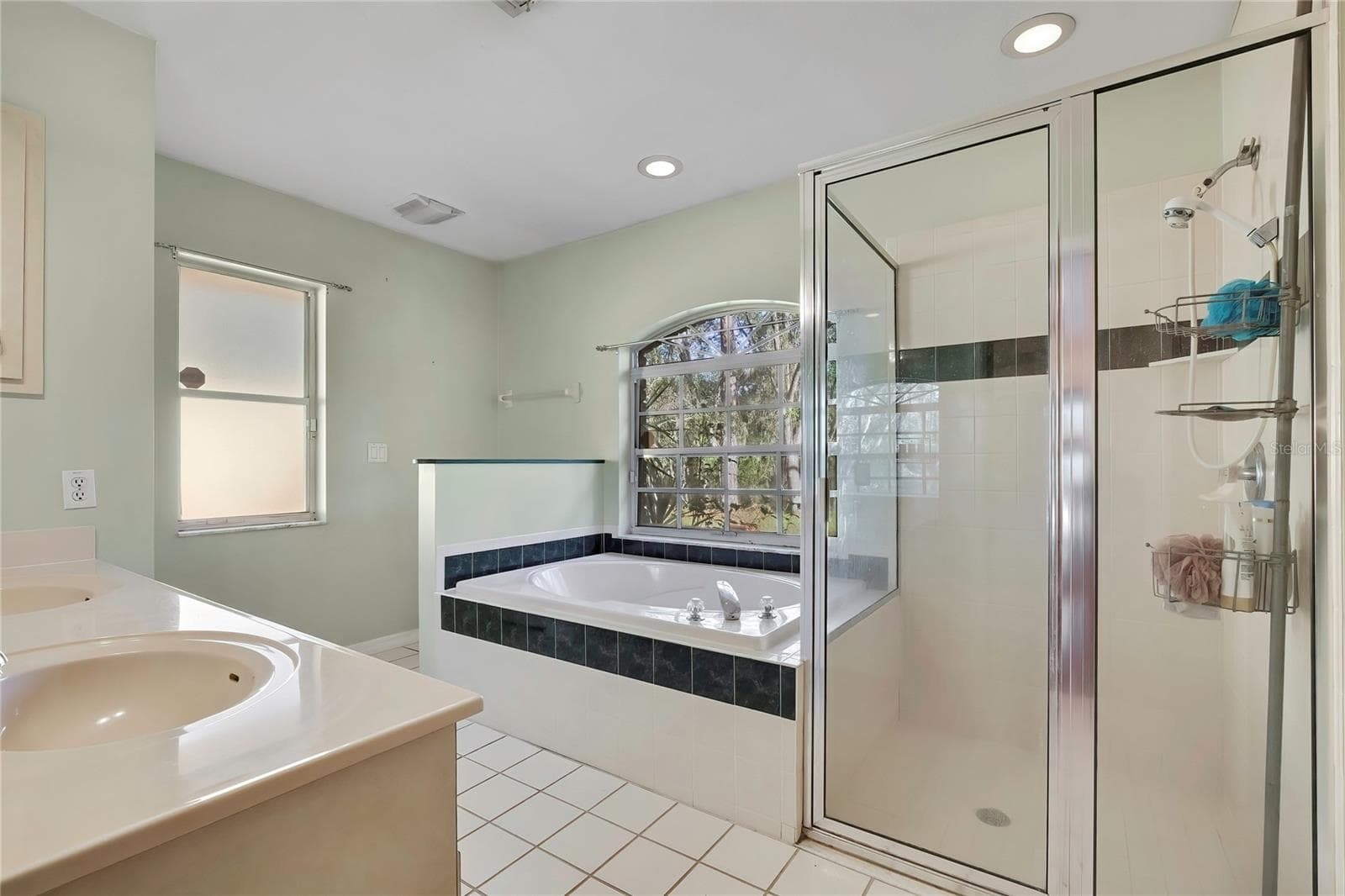 Master Bath 1 - 340 E SAVOY ST, LECANTO
