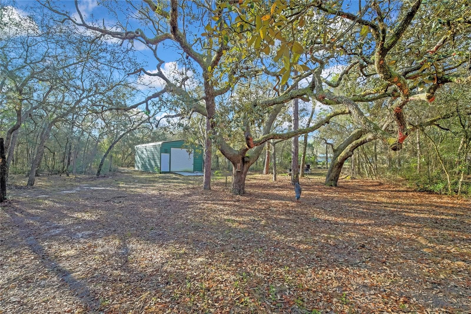 Yard - 340 E SAVOY ST, LECANTO