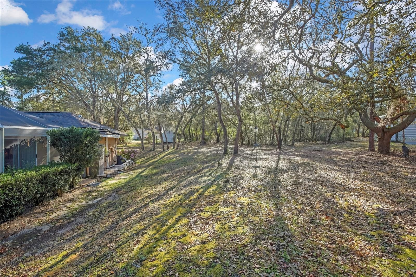 Yard - 340 E SAVOY ST, LECANTO