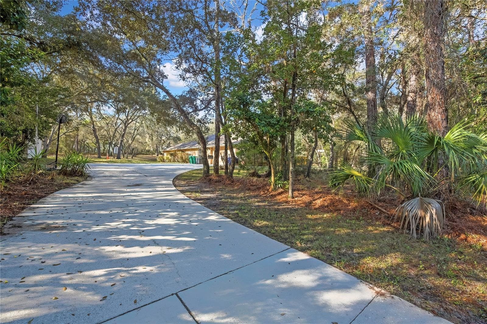 Driveway - 340 E SAVOY ST, LECANTO