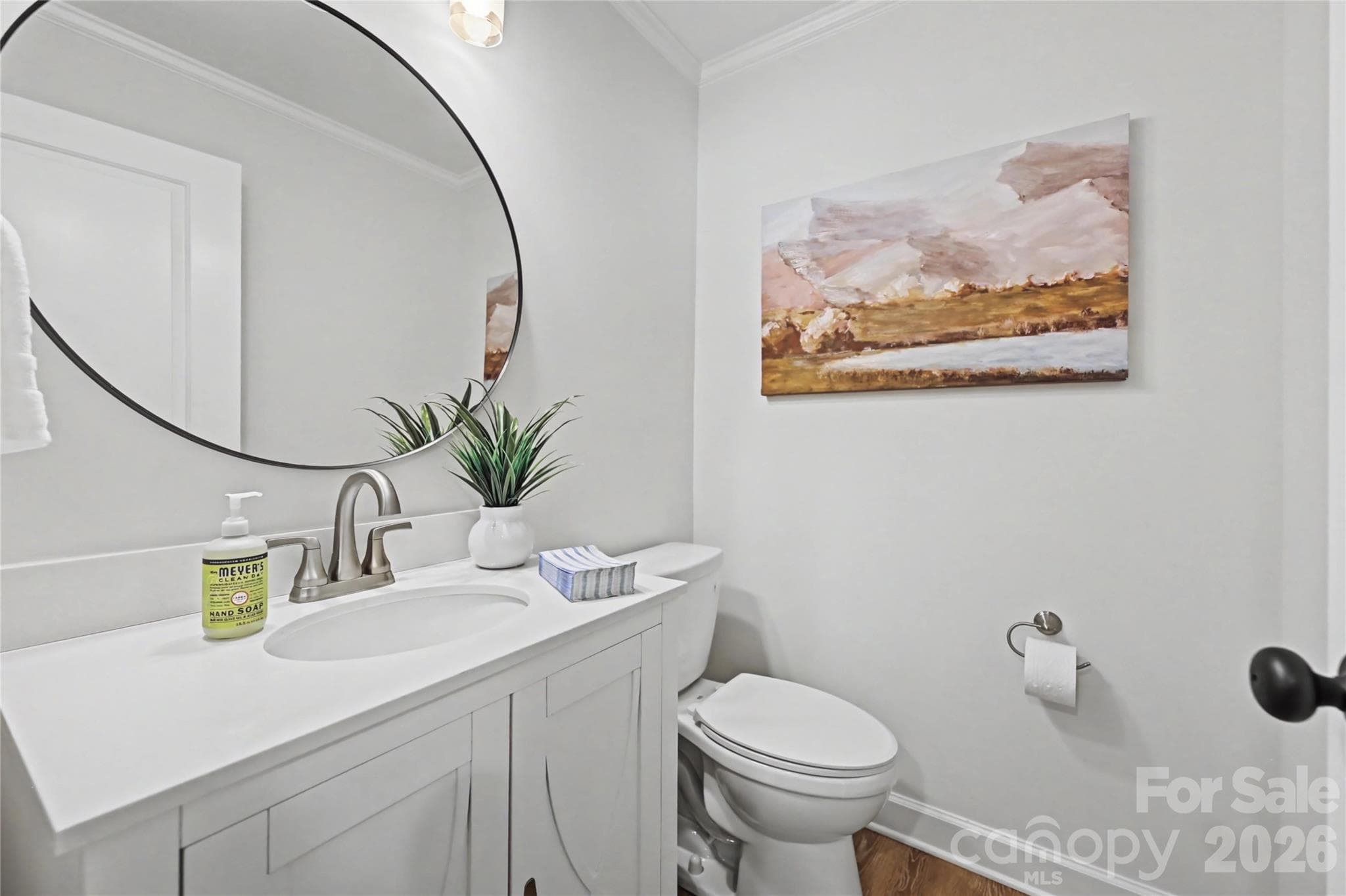 Powder Room - 815 Hartness Avenue, Charlotte