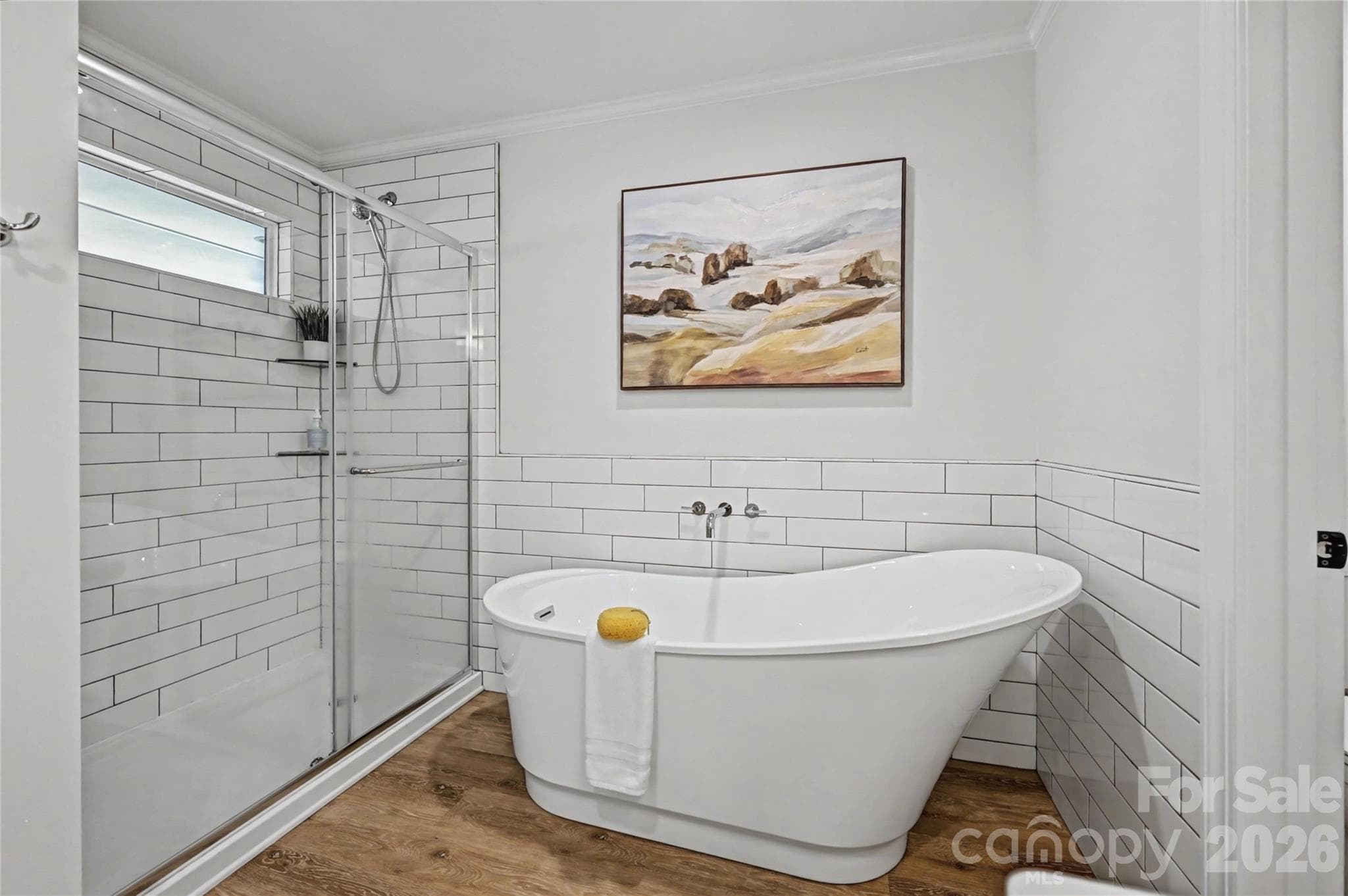 Primary shower and soaking tub - 815 Hartness Avenue, Charlotte