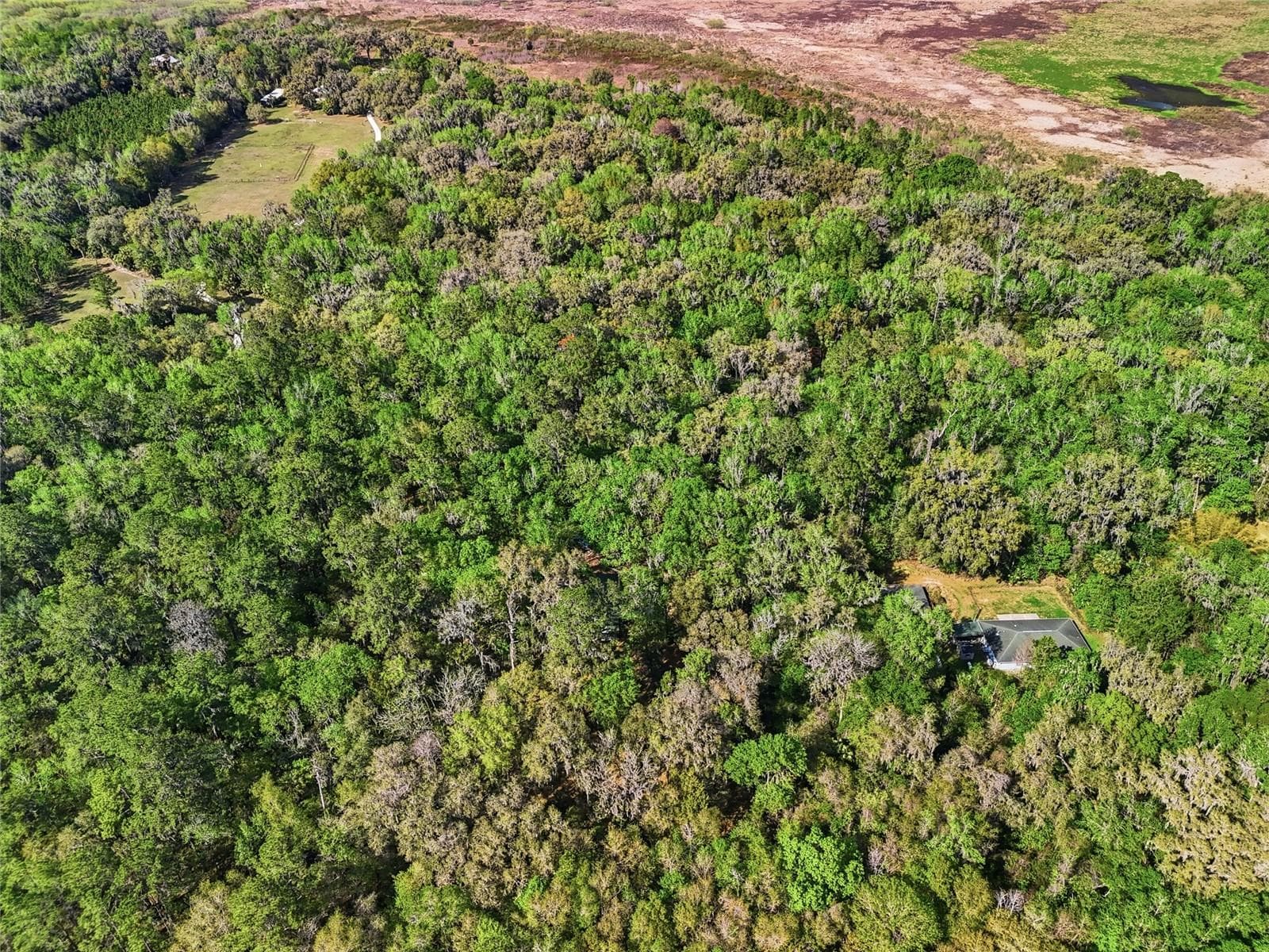 Single Family Residence at 8856 NW 230TH ST, MICANOPY, photo 30 of 32