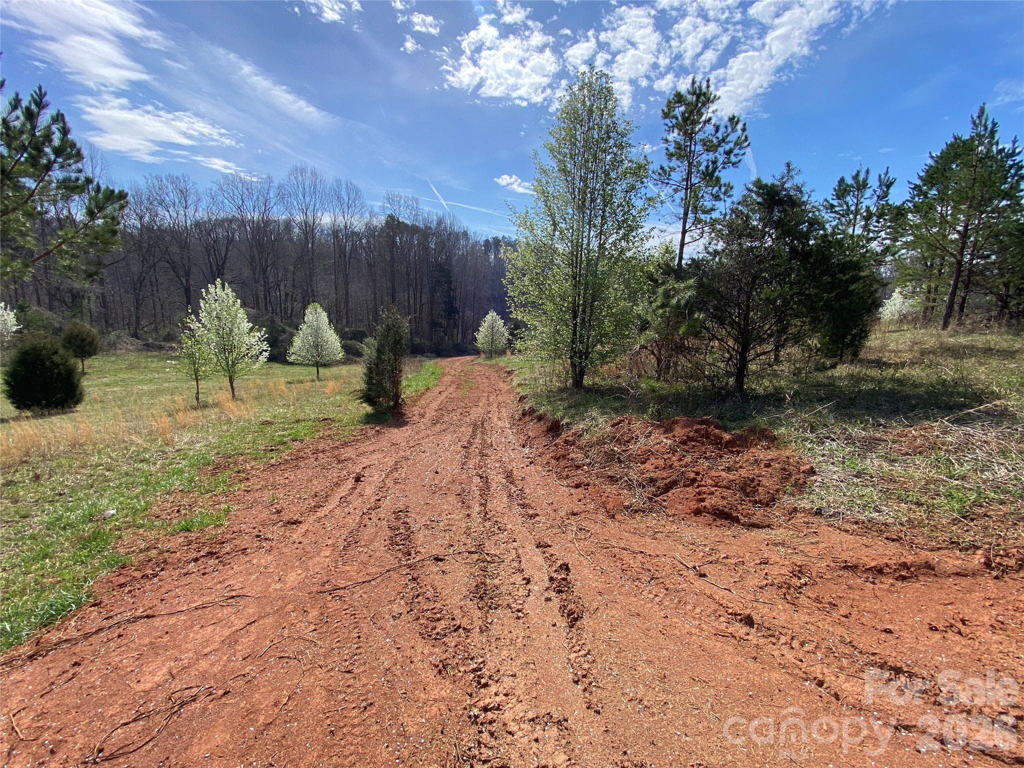 Existing Road Bed - Rutherfordton