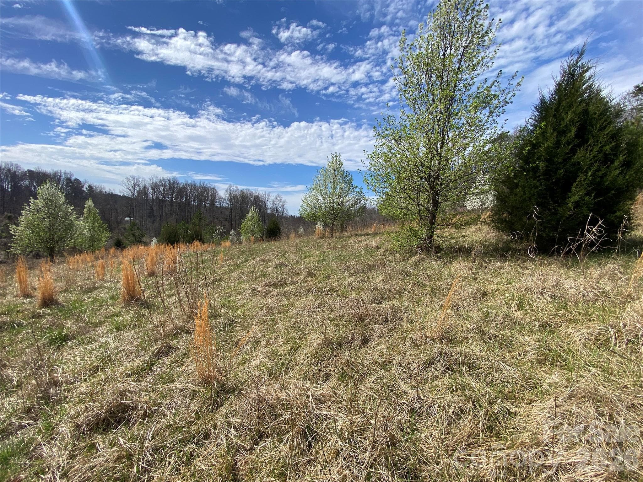Acreage at Rutherfordton, photo 19 of 20