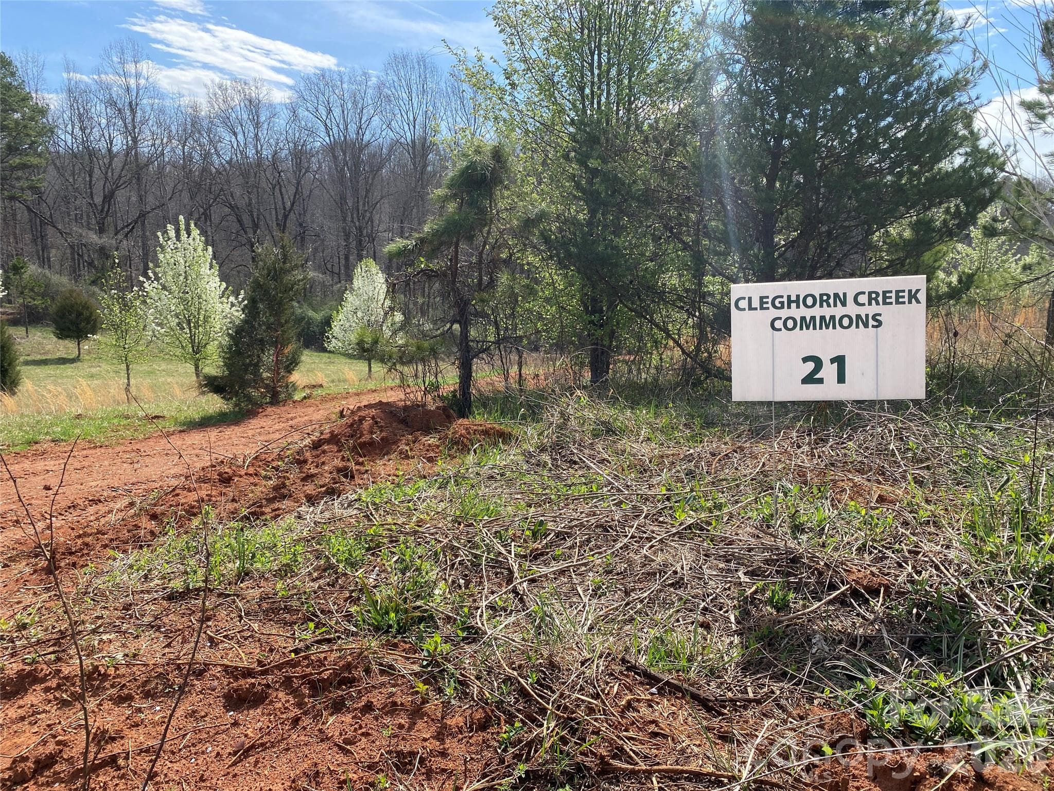 Acreage at Rutherfordton, photo 20 of 20