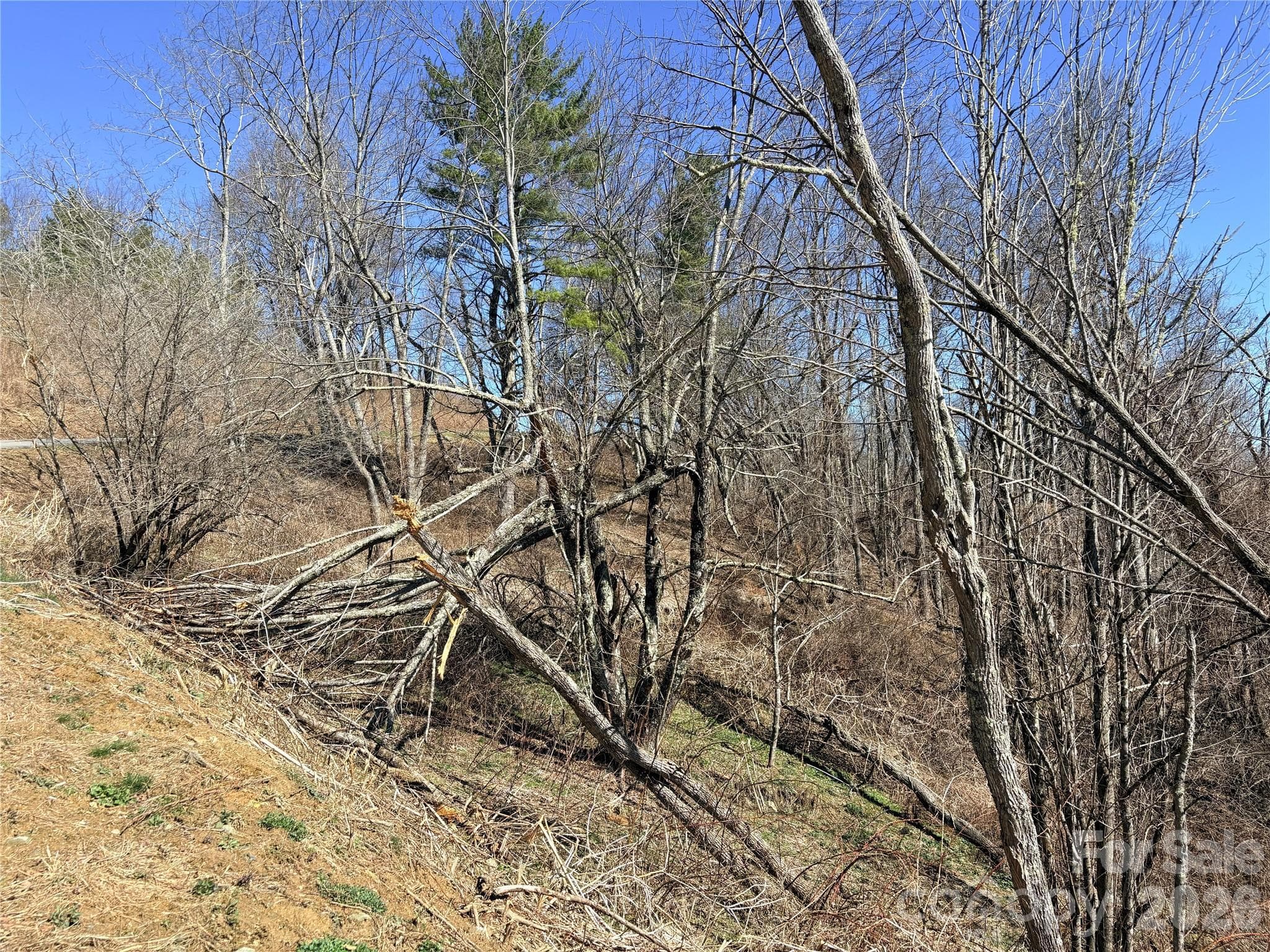 Lot at Lot 67 Linhigh Drive, Linville, photo 3 of 13