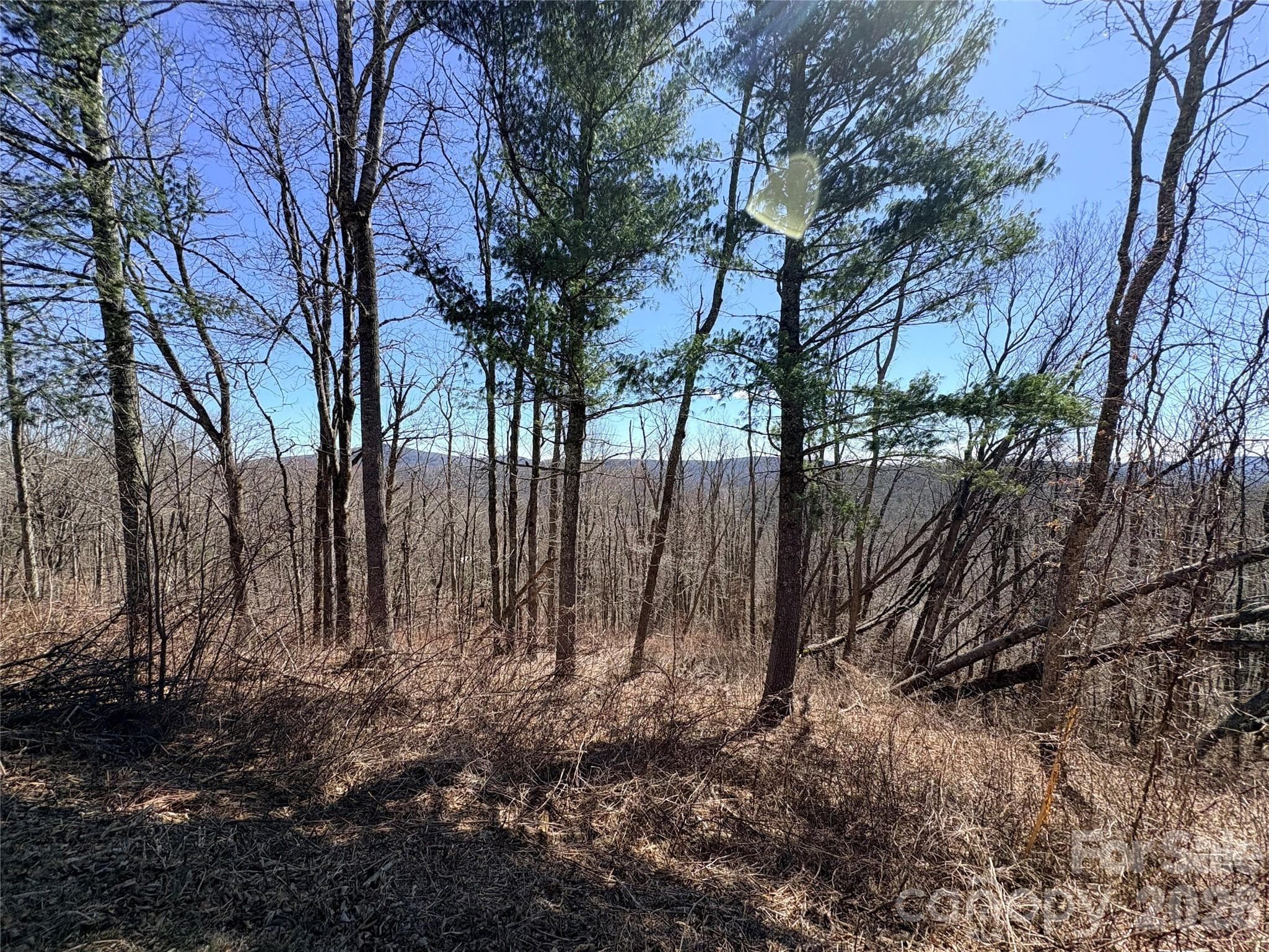 Lot at Lot 67 Linhigh Drive, Linville, photo 8 of 13