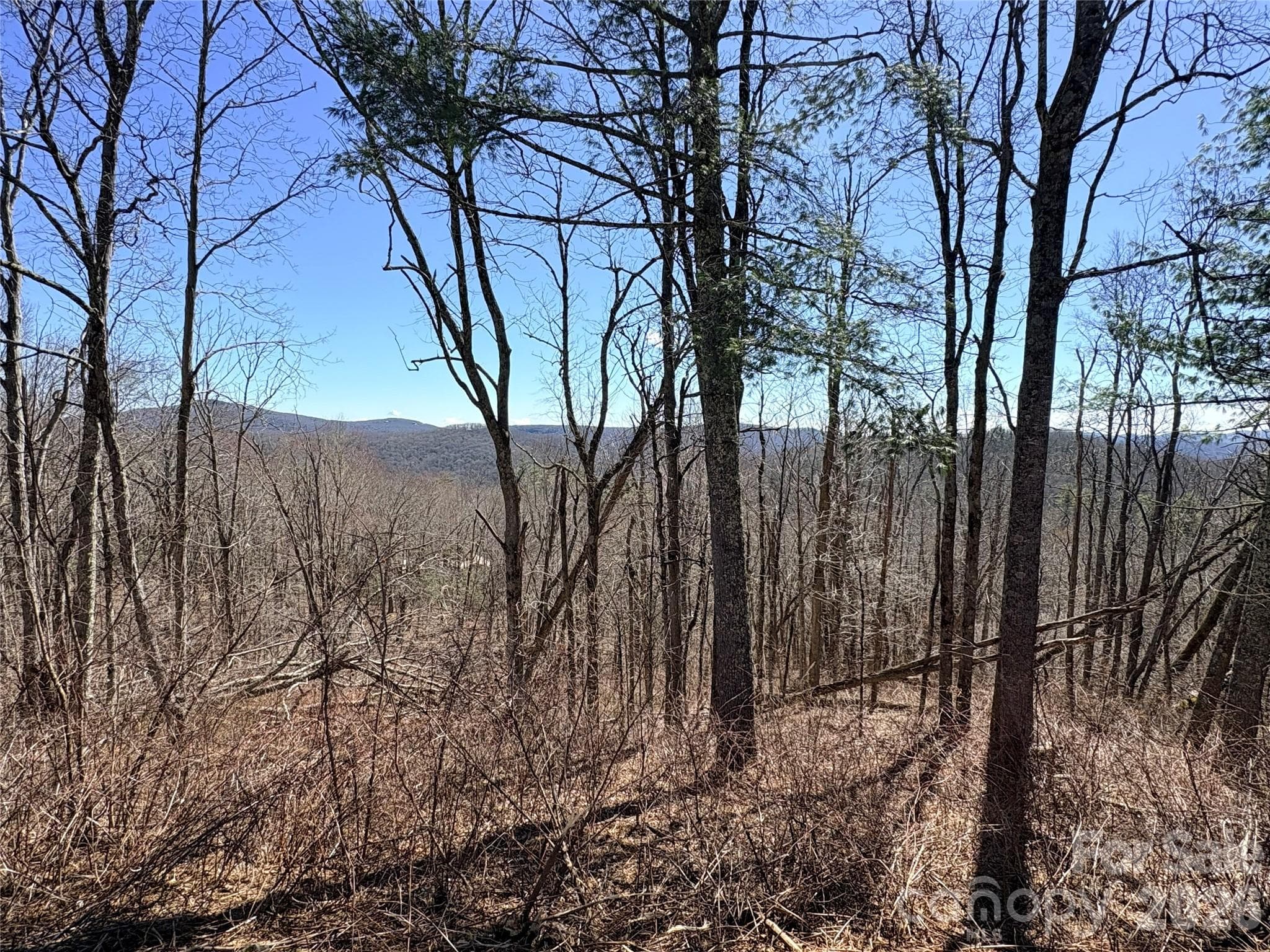 Lot at Lot 67 Linhigh Drive, Linville, photo 11 of 13