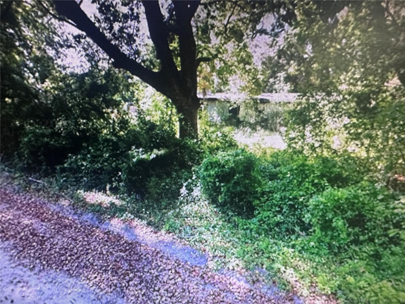 Land at 4289 SE 20TH ST, TRENTON, photo 2 of 5