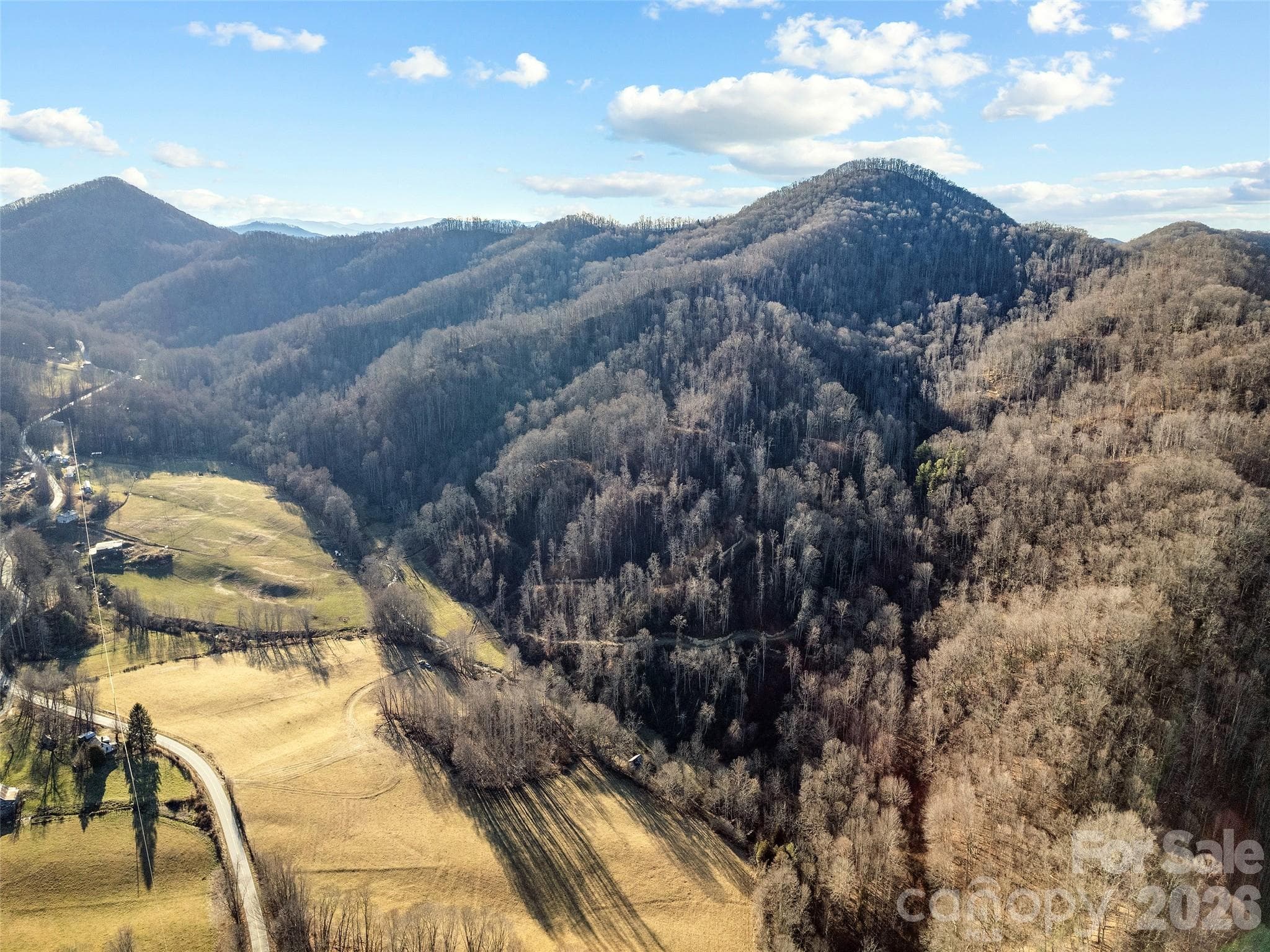 Acreage at 00 NC 209 Highway, Spring Creek, photo 2 of 27