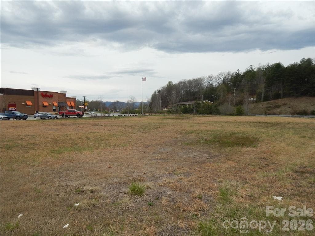 Unimproved Commercial at Lot B Macon Center Drive, Franklin, photo 2 of 23