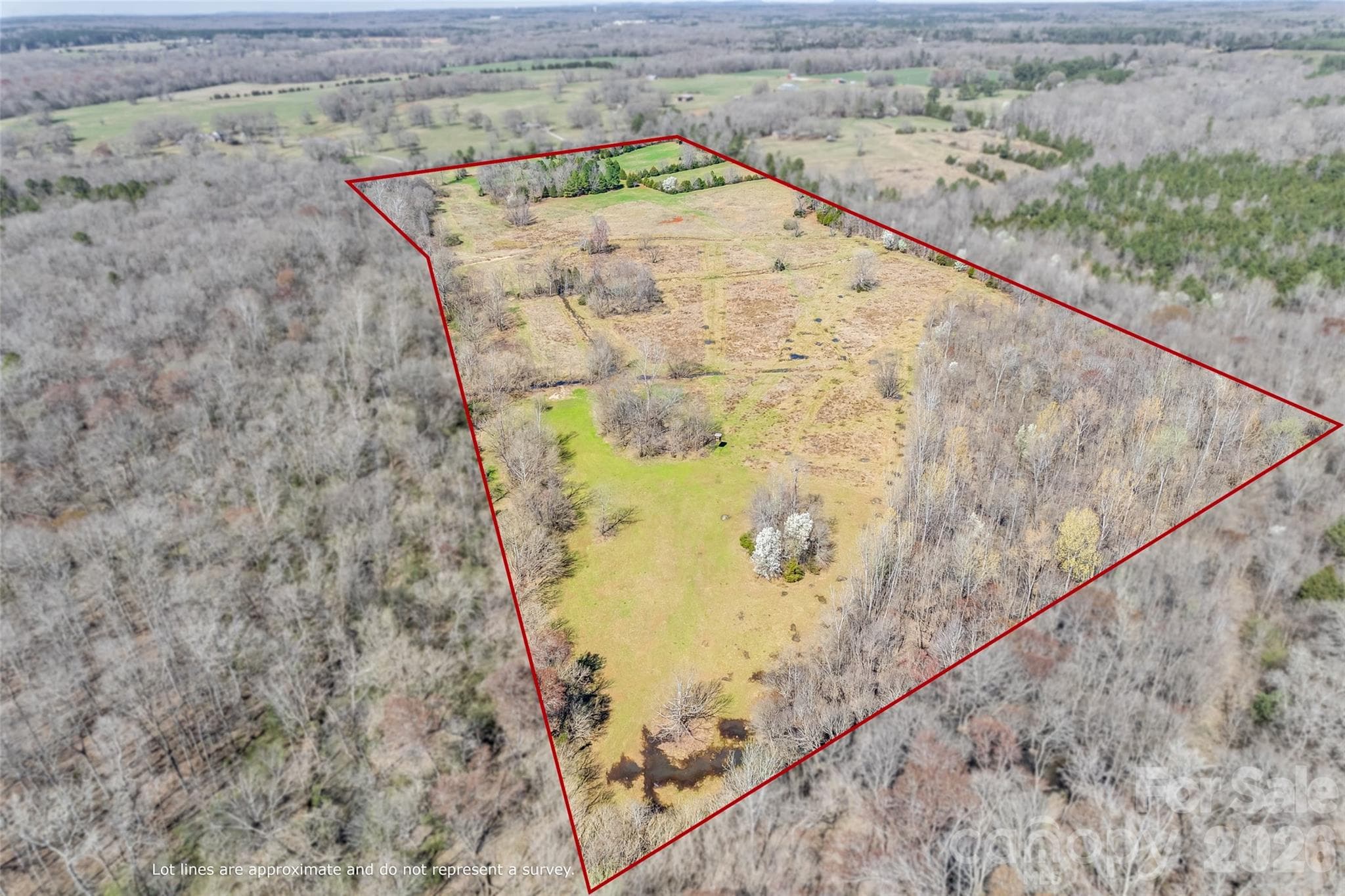 Estimated boundary lines provided by professional photographer. - Rock Hill