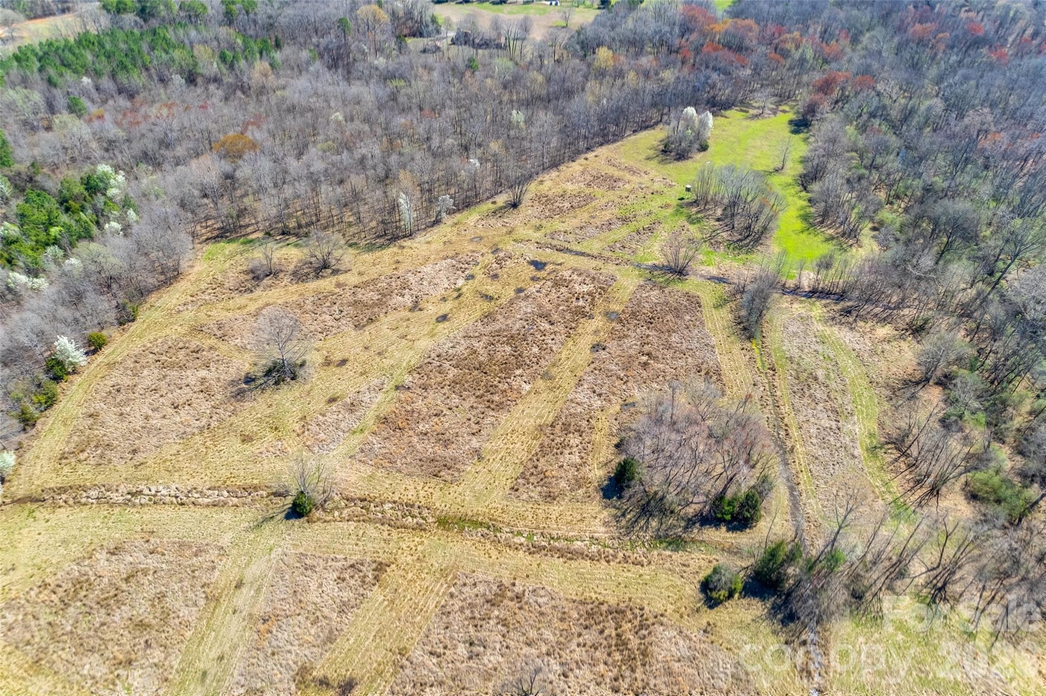 Acreage at Rock Hill, photo 7 of 19