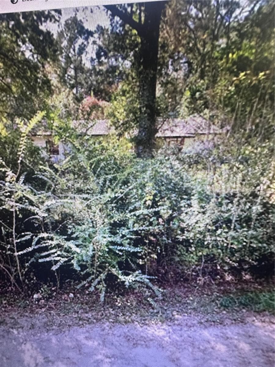 Land at 2180 BONIFAY GRITNEY RD, CARYVILLE, photo 2 of 6