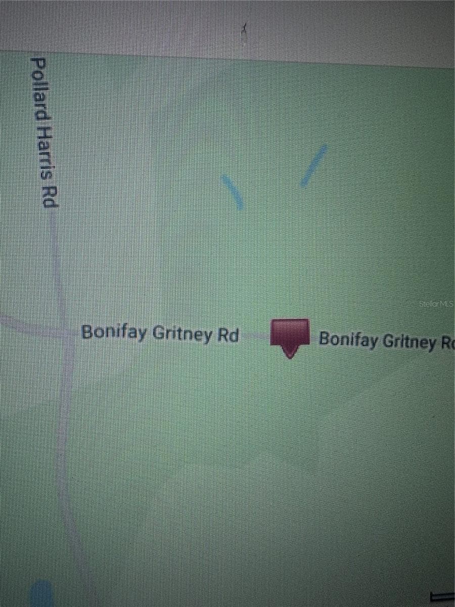Land at 2180 BONIFAY GRITNEY RD, CARYVILLE, photo 6 of 6