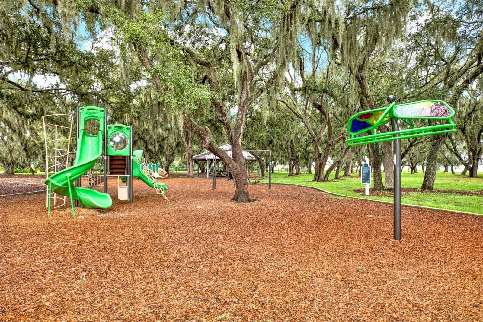 Single Family Residence at 13113 WILDFLOWER MEADOW DR, RIVERVIEW, photo 81 of 84