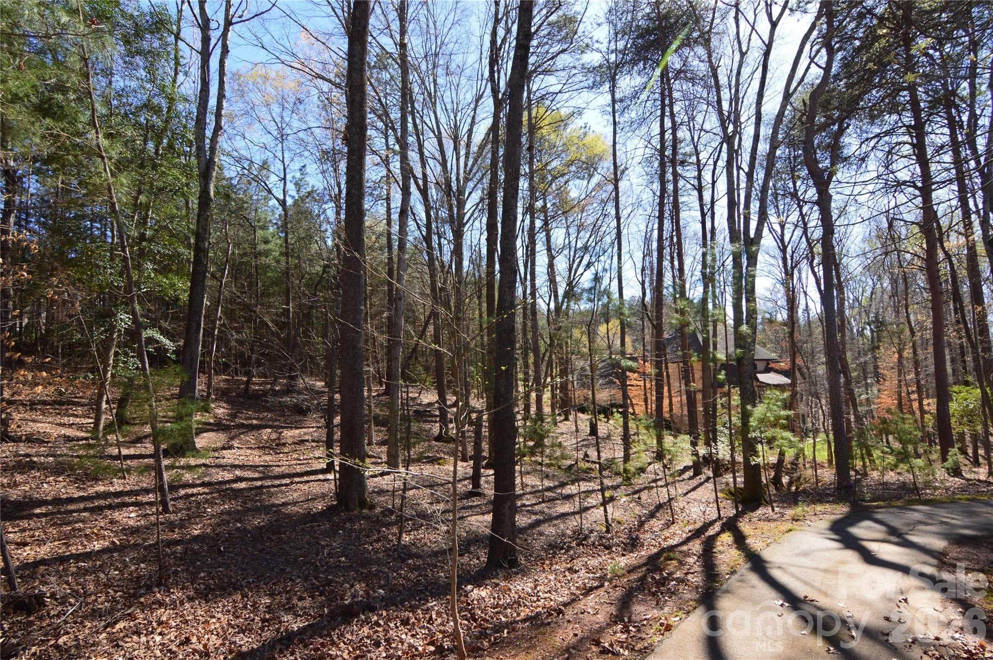 Lot at Belmont, photo 9 of 48