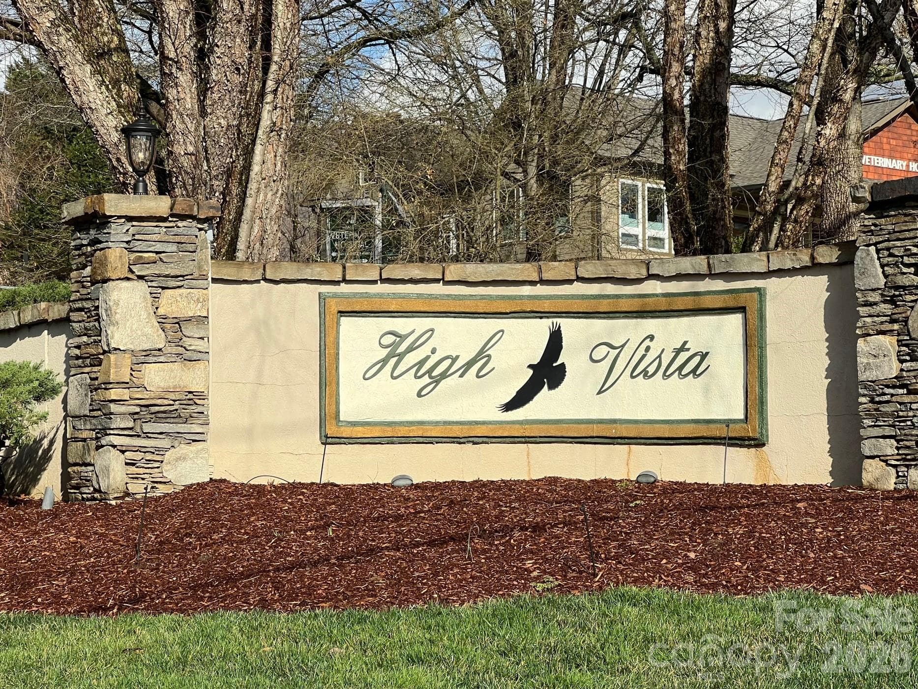 803254 Ivy Road