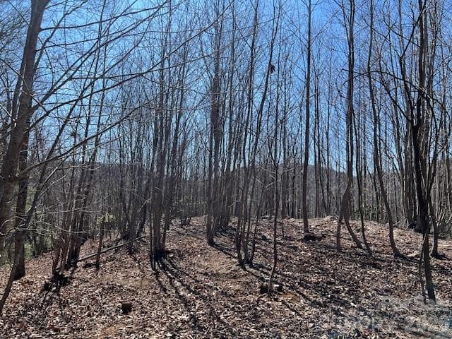 Lot at 803254 Ivy Road, Mills River, photo 2 of 20