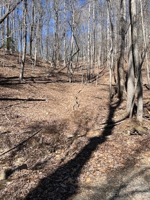 Lot at 803254 Ivy Road, Mills River, photo 3 of 20