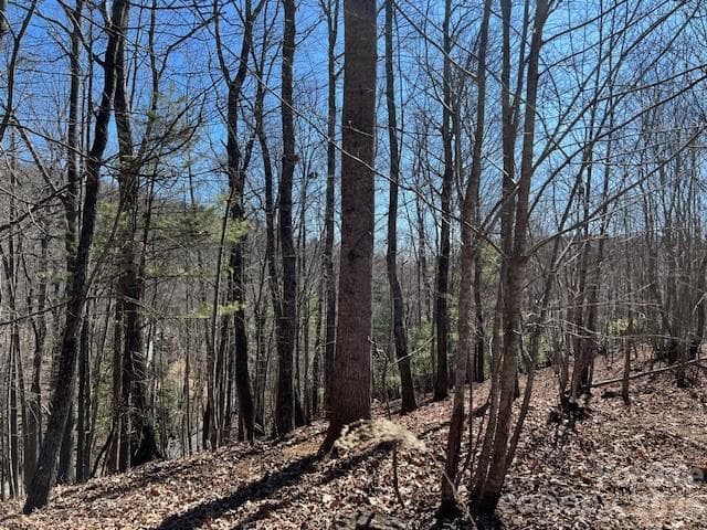Lot at 803254 Ivy Road, Mills River, photo 5 of 20