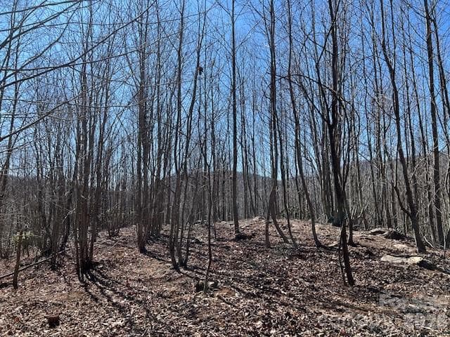 Lot at 803254 Ivy Road, Mills River, photo 6 of 20