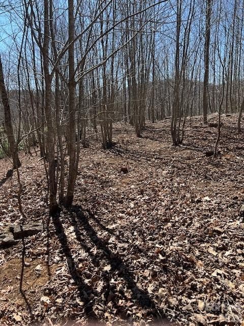 Lot at 803254 Ivy Road, Mills River, photo 7 of 20