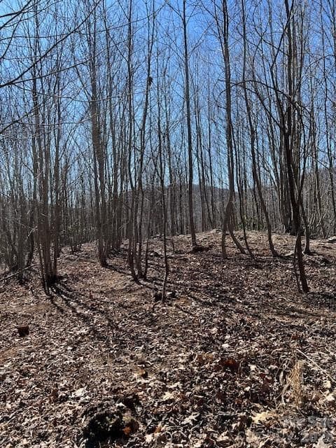 Lot at 803254 Ivy Road, Mills River, photo 8 of 20