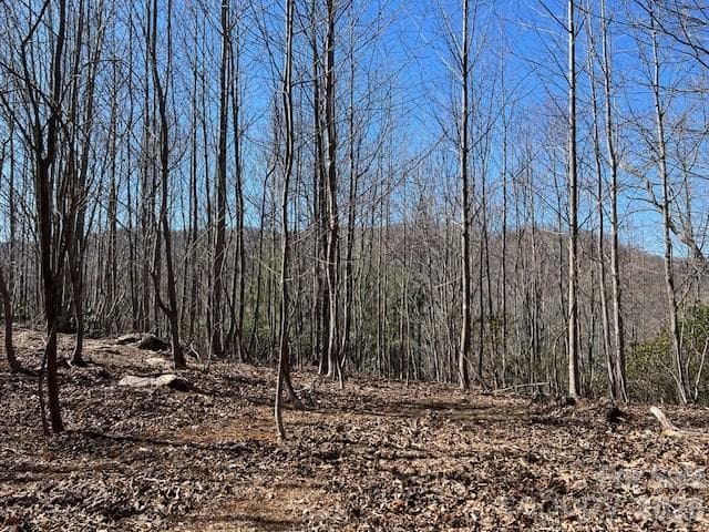 Lot at 803254 Ivy Road, Mills River, photo 9 of 20