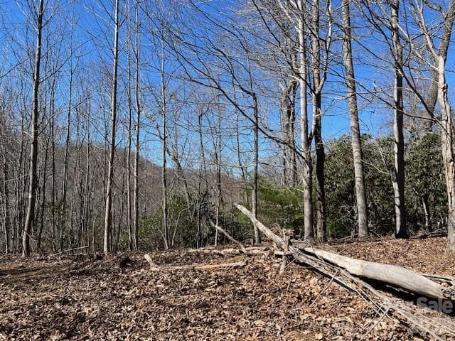 Lot at 803254 Ivy Road, Mills River, photo 10 of 20
