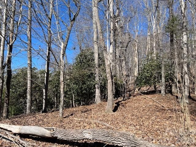 Lot at 803254 Ivy Road, Mills River, photo 12 of 20